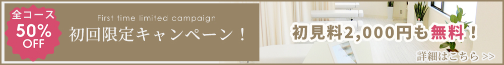 初回キャンペーン半額